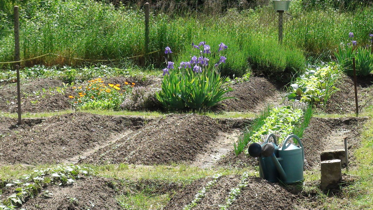 Les Principes Essentiels à Tenir En Compte Pour Entretenir Un Jardin ...